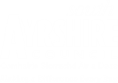 South Ayrshire Council